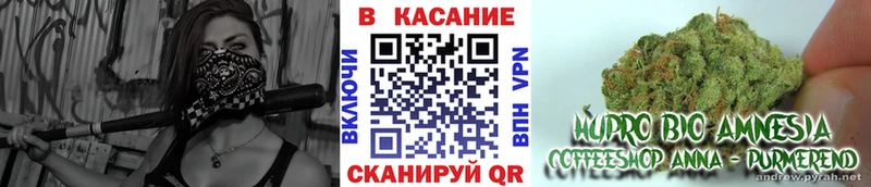Купить закладку ГАШИШ  Кокаин  СОЛЬ  Конопля  Меф мяу мяу  Сосновый Бор