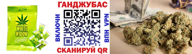 Cannafood конопля  Купить  Сосновый Бор 