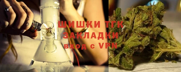 spice Аркадак
