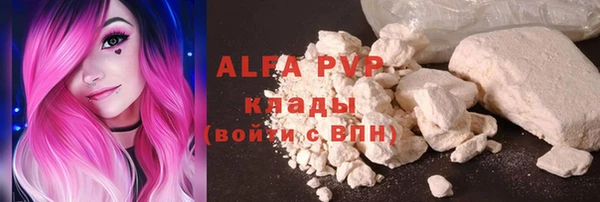 spice Аркадак