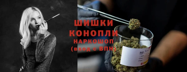 spice Аркадак