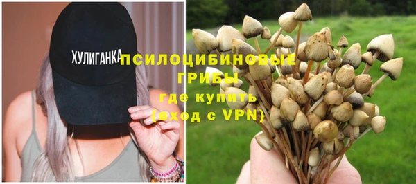 твердый Арсеньев
