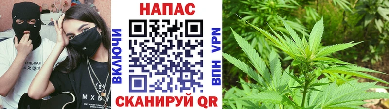 МАРИХУАНА тримм  Купить закладки  Сосновый Бор 